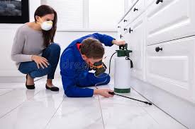 Best Indoor Pest Control  in Port Allen, LA