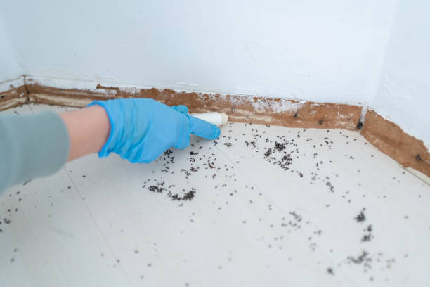 Best Pest Exclusion Services  in Port Allen, LA